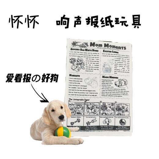 宠物用品宠物嗅闻耐咬耐撕安全柔软黑白报纸宠物玩具猫狗宝宝通用 商品图2