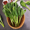 有机广东菜心500g 商品缩略图4