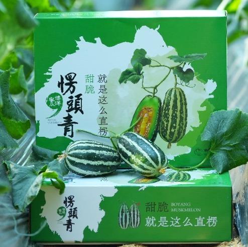 甜瓜中的愣头青 甜墩墩 挑战对青皮瓜的认知 香 脆 甜！青白相间 皮如纸薄 果肉细嫩|百里食 商品图10