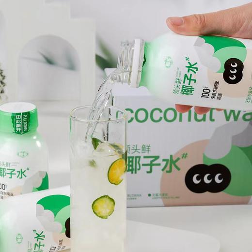 自然的味道·椰谷领头鲜椰子水 东南亚椰源 一口钟情的味道 商品图2