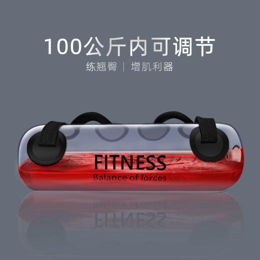 伊登平衡负重水袋能量包深蹲翘臀器材健身跑步装备体能家用牛角包 商品图1