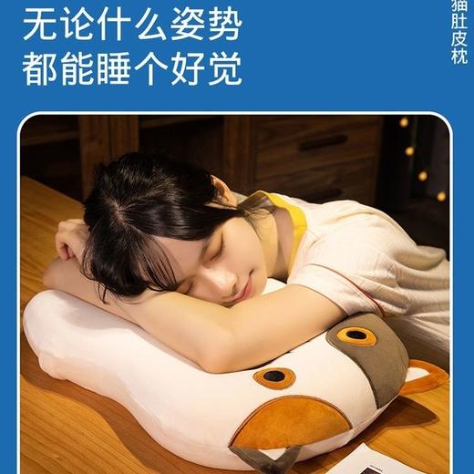 猫肚皮枕头套护颈椎枕芯记忆棉学生侧睡低枕单人宿舍柔软慢回弹 商品图7