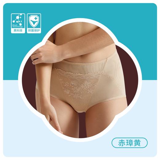 QC-GT501  格蓝玫微塑抑菌女神裤-单条 商品图0