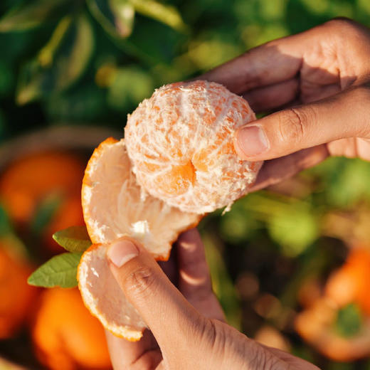 雲端•甜沃柑，一口爆汁，清香扑鼻、果肉细腻化渣 商品图1