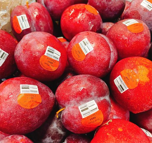 澳大利亚樱桃李 | 水果 商品图2