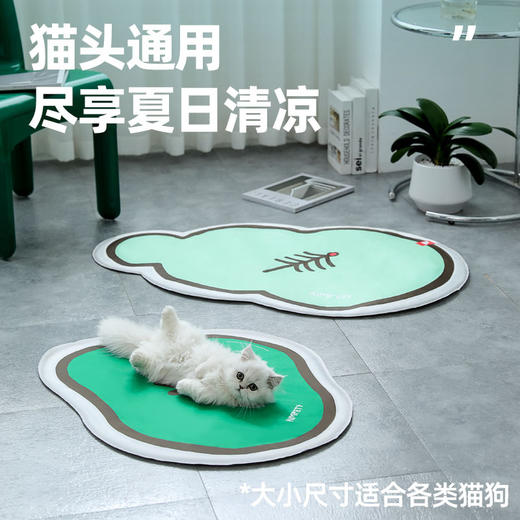 【宠物用品】宠物冰垫 商品图1