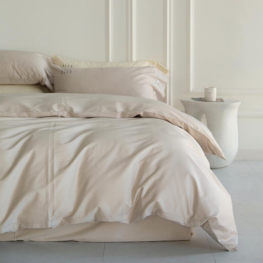 法国ELLE DECO 100S纯色刺绣四件套 正单全棉活性纯色100支新疆长绒棉全年适用 商品图5