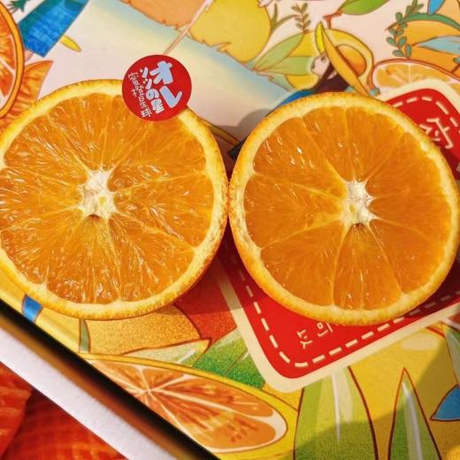 星球伦晚橙 |水果 商品图0
