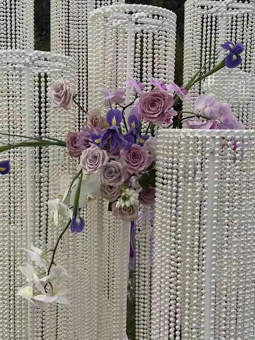 珍珠路引（运费自理） 商品图2