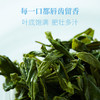 徽六六安瓜片2024新茶春茶绿茶茶叶特一级清香天青系列250g 商品缩略图3