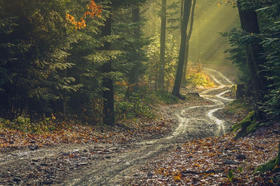 命理│四驿马详解——巳