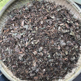 鱼腥草 云南夏季 折耳根 新货叶子泡水药材 干净筛选 新鲜晾晒