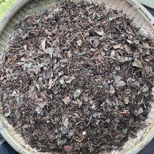 鱼腥草 云南夏季 折耳根 新货叶子泡水药材 干净筛选 新鲜晾晒 商品图0