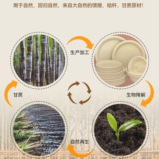 【50只】本色可降解一次性餐具户外聚餐露营烧烤野餐纸碗盘子蛋糕盘纸盘 商品图6