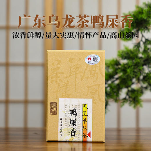 天羽茶业1156鸭屎香100g  盒装包邮 商品图0
