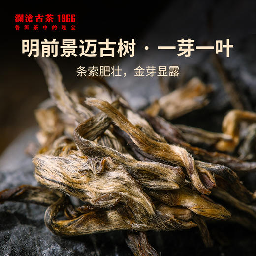 澜沧古茶2023年景迈001大饼景迈山古树普洱生茶400g/片 商品图2