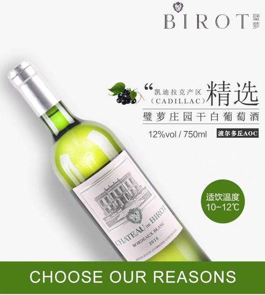 壁萝庄园干白 商品图1