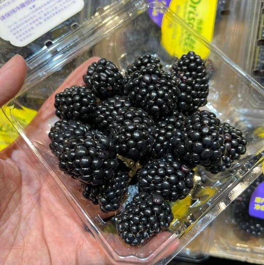 怡颗莓黑莓，毕业于西点军校的莓果，被欧美国家赞誉为“生命之果”。富含原花青素、SOD、硒、鞣花酸，类黄酮等高效抗氧化活性物质，以及二十种氨基酸和微量元素。孕妇和宝宝天然叶酸的补给站。一组4盒 商品图3