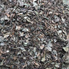 鱼腥草 云南夏季 折耳根 新货叶子泡水药材 干净筛选 新鲜晾晒 商品缩略图1