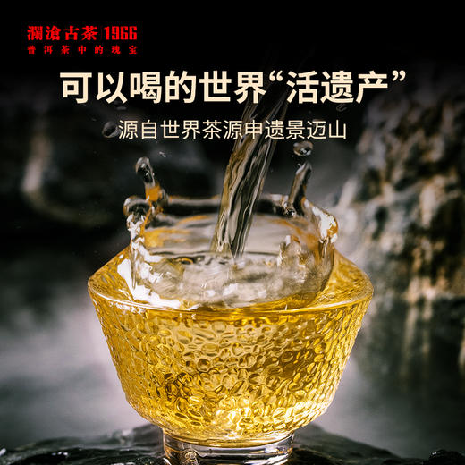 澜沧古茶2023年景迈001大饼景迈山古树普洱生茶400g/片 商品图3