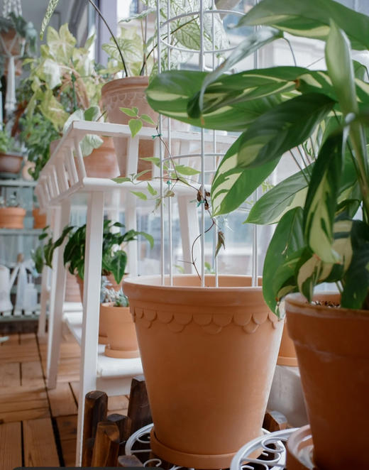 浮雕红陶花盆 吸水透气泥陶盆庭院绿植花卉国际盆 商品图4