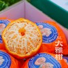 柑橘皇后～精笃大雅柑【净重约7斤】 商品缩略图6