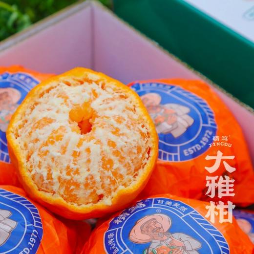 柑橘皇后～精笃大雅柑【净重约7斤】 商品图6