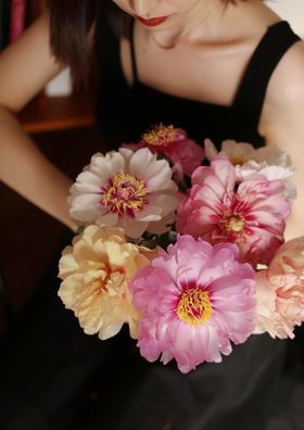 【预售！4.20起陆续发出】伊藤家族【纵你阅人何其多，无人相似我】简小姐精选伊藤家族随机混色  2件包邮 顺丰空运直发