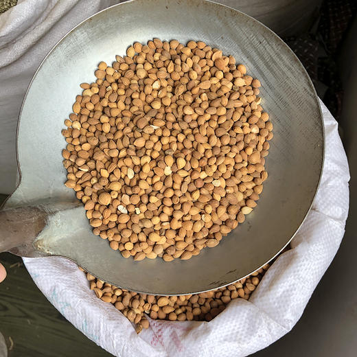 郁李仁 商品图3