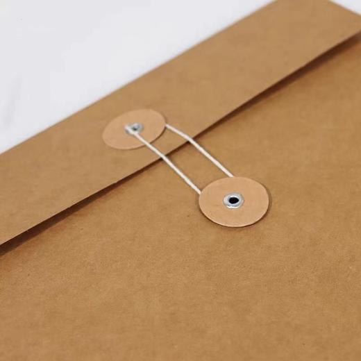 A3档案袋ST-A305 牛皮纸资料文件袋350克进口无酸纸 蓝字加大加厚1个 商品图2