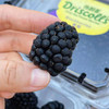 怡颗莓黑莓，毕业于西点军校的莓果，被欧美国家赞誉为“生命之果”。富含原花青素、SOD、硒、鞣花酸，类黄酮等高效抗氧化活性物质，以及二十种氨基酸和微量元素。孕妇和宝宝天然叶酸的补给站。一组4盒 商品缩略图0
