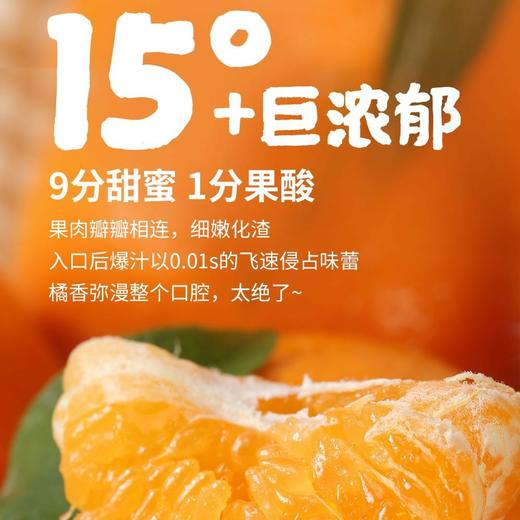 柑橘皇后～精笃大雅柑【净重约7斤】 商品图8
