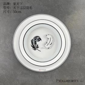 家天下 222圆-羽毛 语音智能款