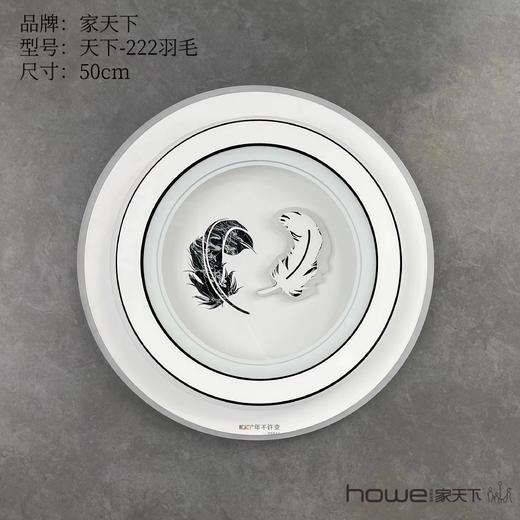 家天下 222圆-羽毛 语音智能款 商品图0