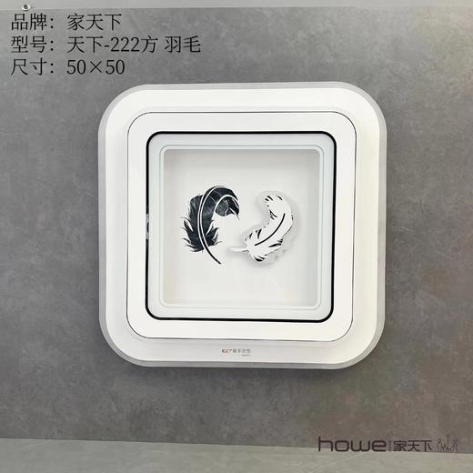 家天下-222方 羽毛 智能语音款 商品图0