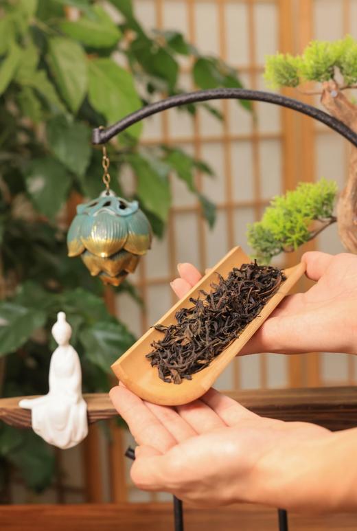 天羽茶业DY0010鸭屎香100g 盒装包邮非遗单丛茶 商品图2