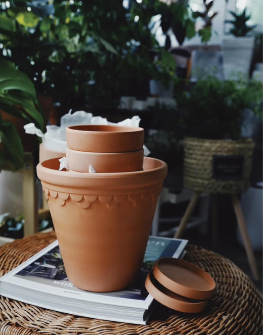 浮雕红陶花盆 吸水透气泥陶盆庭院绿植花卉国际盆 商品图8