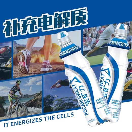 宝矿力电解质维生素营养液550ml 商品图3
