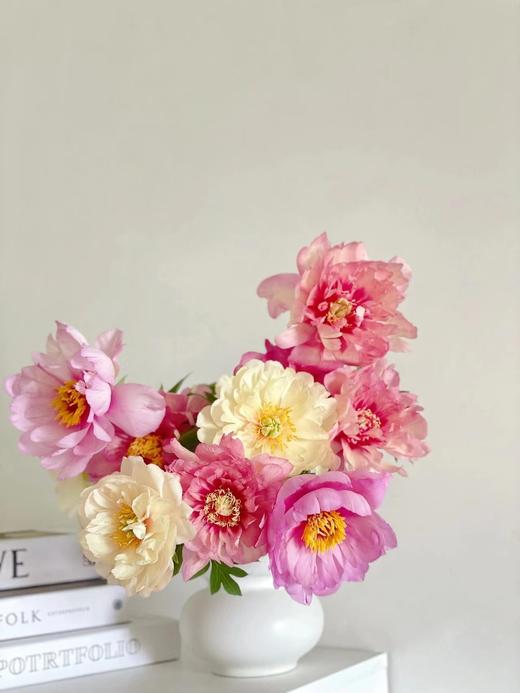 【预售！4.20起陆续发出】伊藤家族【纵你阅人何其多，无人相似我】简小姐精选伊藤家族随机混色  2件包邮 顺丰空运直发 商品图4