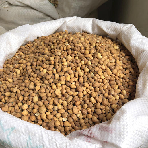 郁李仁 商品图1