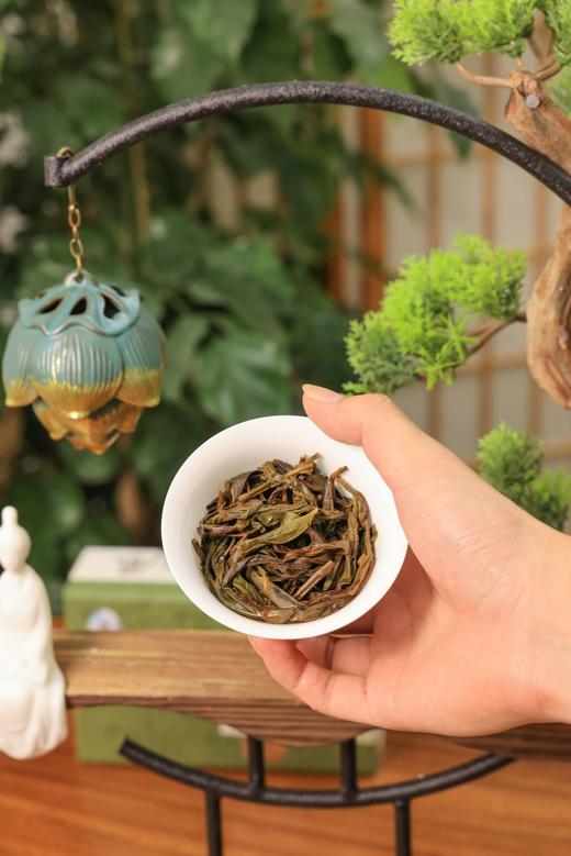 天羽茶业DY0010鸭屎香100g 盒装包邮非遗单丛茶 商品图4