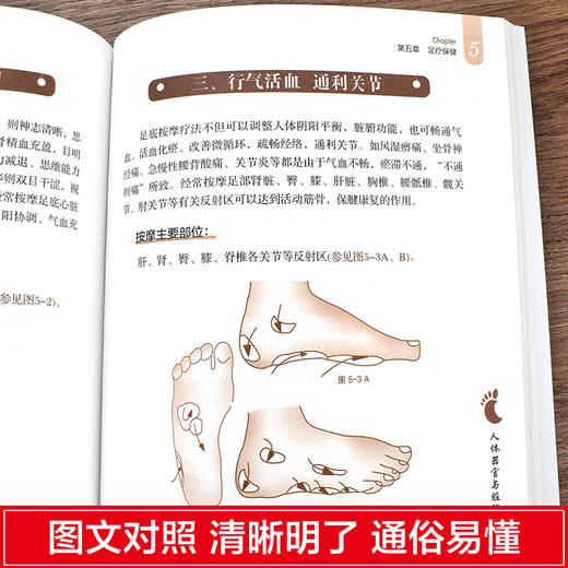 形色足诊 商品图2