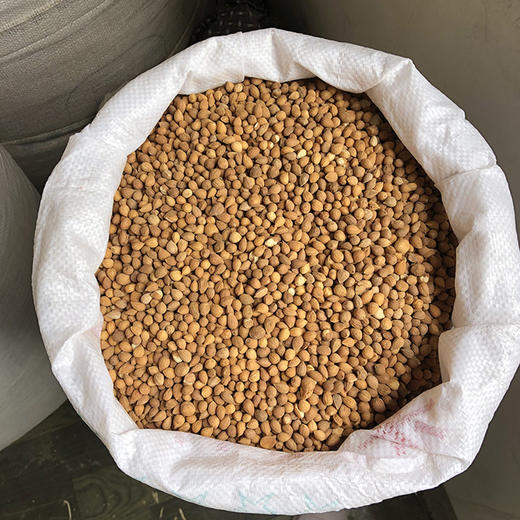 郁李仁 商品图0