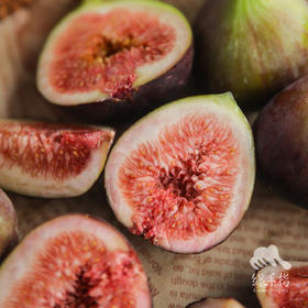 生态无花果 | 合作生产 * Ecological Fig