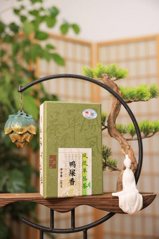 天羽茶业DY0010鸭屎香100g 盒装包邮非遗单丛茶 商品图0