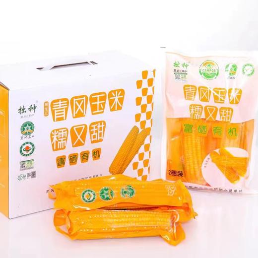 【升级10根装】有机鲜食甜糯玉米 10根装  250g以上/根 商品图3