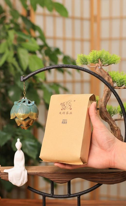 天羽茶业DY0010鸭屎香100g 盒装包邮非遗单丛茶 商品图1