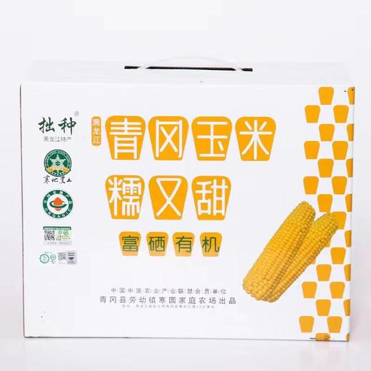 【升级10根装】有机鲜食甜糯玉米 10根装  250g以上/根 商品图4