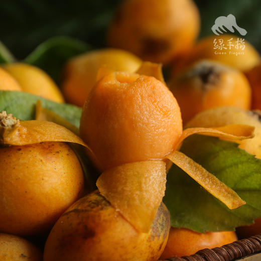 生态枇杷 | 合作生产 * Ecological Loquat  商品图3