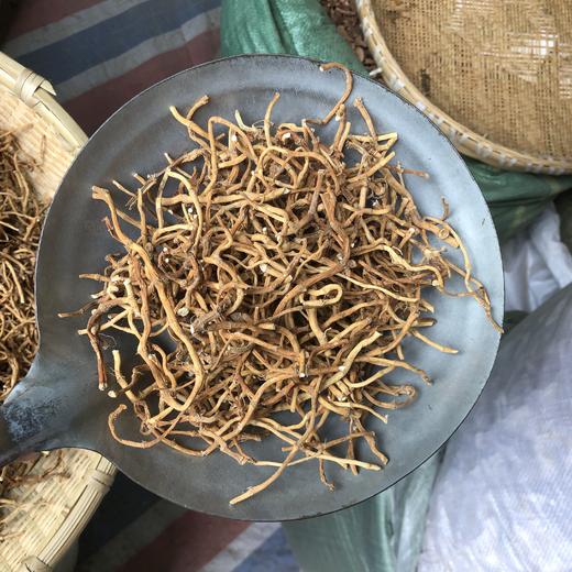 鱼腥草 云南夏季 折耳根 新货叶子泡水药材 干净筛选 新鲜晾晒 商品图3